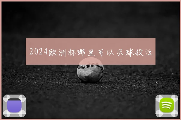 2024欧洲杯哪里可以买球投注