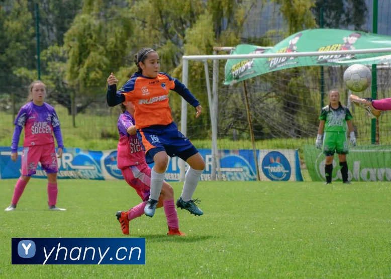 多媒体互动体验