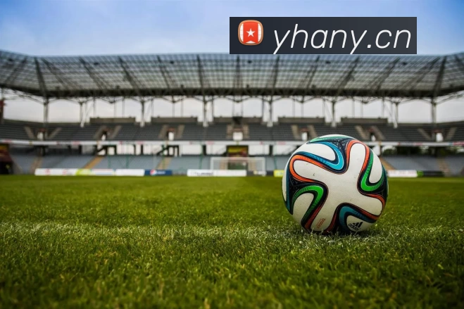 乐鱼官网网页版登录APP 体育赛事宣传图